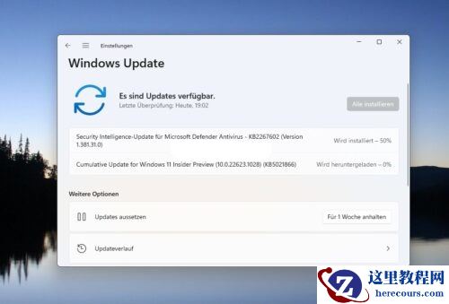 Windows11 KB5021866(22623.1028)Beta补丁包下载