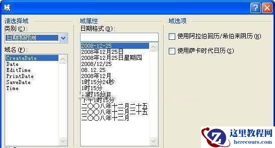 图2 Word 2007插入域