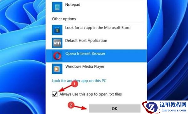 Win11如何更改默认打开方式？Win11更改默认打开方式的方法