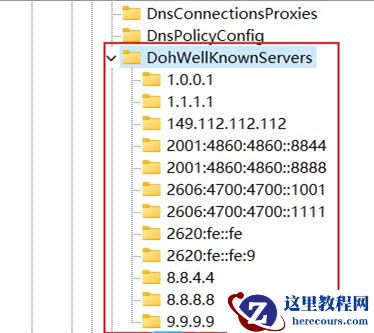 win11无法进行DNS加密怎么办？win11不能DNS加密解决方法