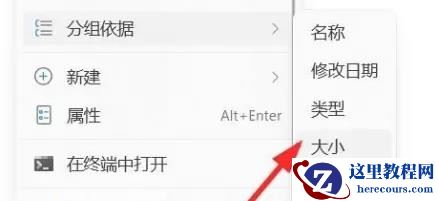 win11怎么设置系统文件分组依据？系统文件分组依据设置教程