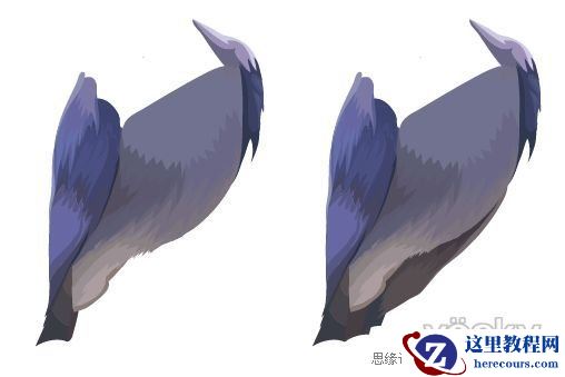 Illustrator色阶画法精细绘制鸟类插画