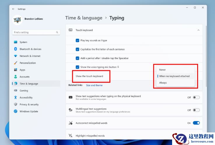 Win11 Insider Preview Build 25309.1000三月补丁推出!