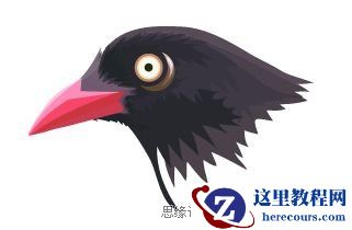 Illustrator色阶画法精细绘制鸟类插画