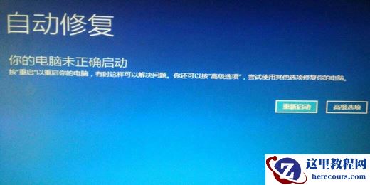 Win11重置失败未做更改怎么回事？Win11重置失败未做更改解决方法