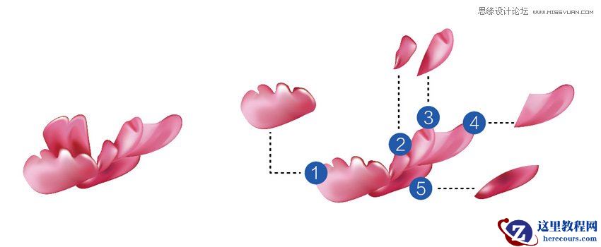 Illustrator绘制中国风牡丹花教程