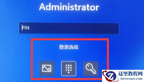 Win11登录选项默认登录方式怎么设置?