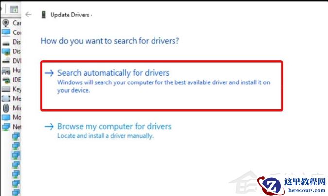 Win11显卡驱动怎么升级？Win11更新显卡驱动教程
