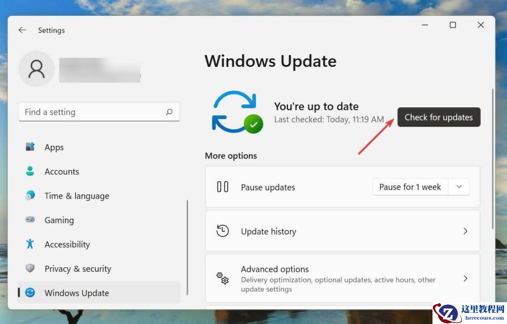 Win11杜比全景声无法正常运行怎么解决?