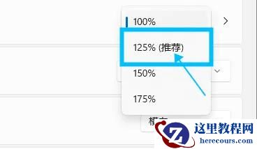 Win11 ui大小怎么调?Win11 ui大小调整教程