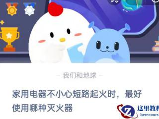 word怎样插入图片格式并设置图解