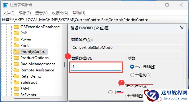 Win11文件复选框没有打开但还是会显示是怎么回事?