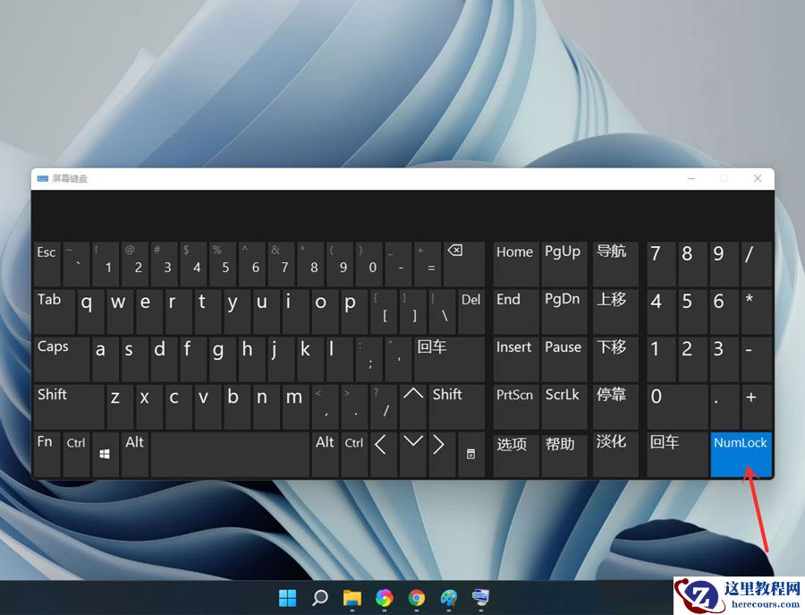 win11小键盘打不出数字怎么办？win11小键盘打不出数字问题解析