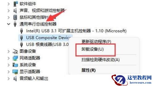 Win11移动硬盘不显示怎么办？Win11移动硬盘不显示问题解析