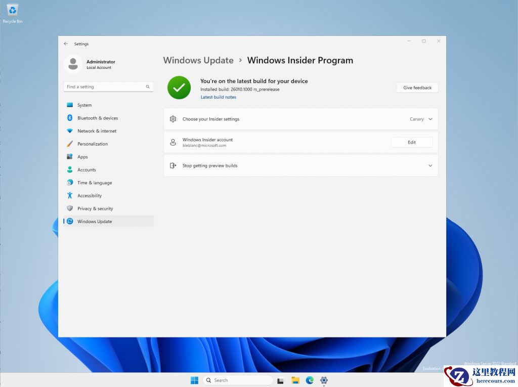 微软Win11 Canary预览版26010十二月更新：新的小部件板设置