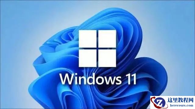 win11系统常用的美化有哪些?win11系统常用美化方法