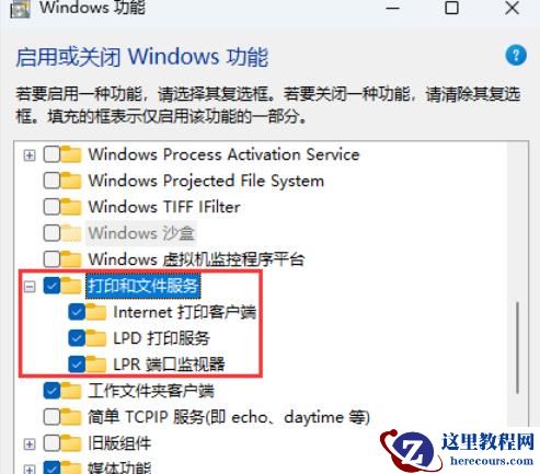 Win11更新后共享看不到别人的电脑怎么办？