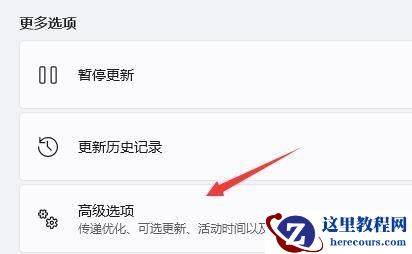win11不能玩地平线4吗?win11怎么玩地平线4?