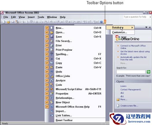 复选标记告诉Office 2003在工具栏上显示特定图标。