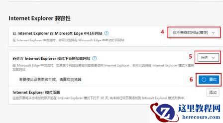 win11系统flash运行异常问题修复失败怎么办?
