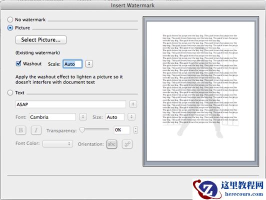 Word上的“插入水印”对话框。