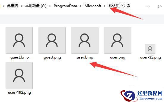 win11账号头像怎么恢复默认?win11账号头像恢复默认方法