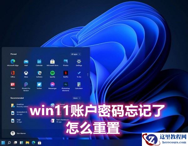 win11账户密码忘记了怎么重置？分享简单快捷的重置方法