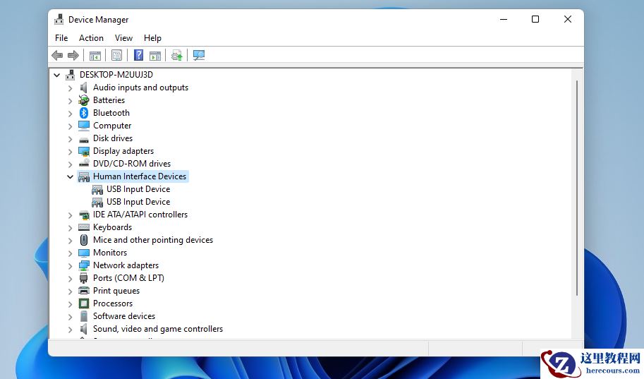 Windows11的触摸屏不工作？这该怎么办？