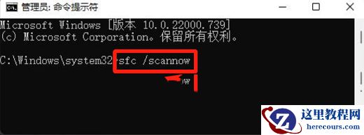 Win11提示文件系统错误805305975的解决方法