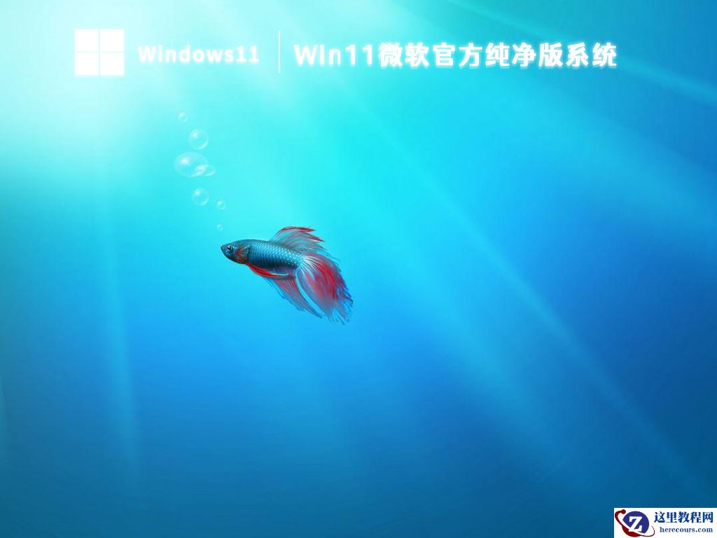 笔记本专用Win11系统下载（宏碁、惠普、华硕、戴尔、联想）