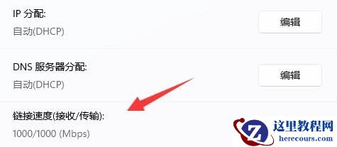win11怎么查看网卡速率？win11网卡速率查看方法