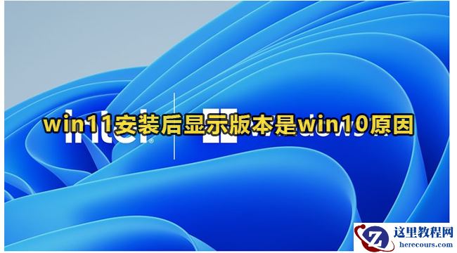 win11安装后显示版本是win10怎么回事？(已解决)
