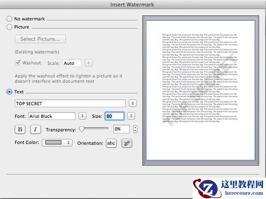 在“插入水印”对话框中，您可以选择插入图像或文本。