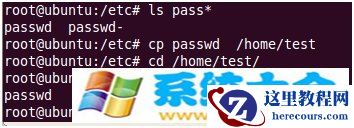 linux下的基本指令使用和makefile的配置