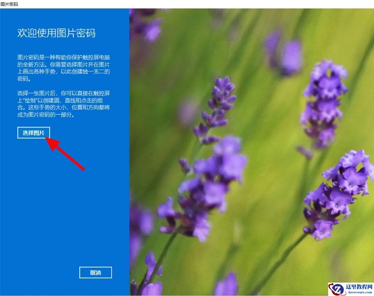 Win11怎么添加图片密码?Win11添加图片密码教程