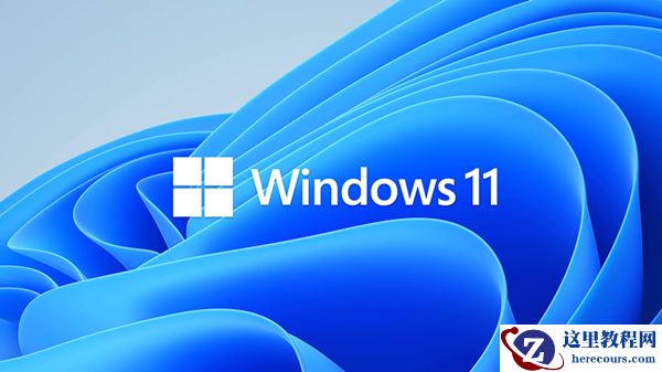 Win11的D盘无法显示怎么办？Win11D盘无法显示的解决方法