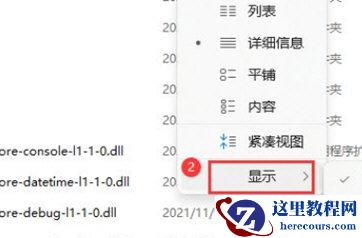 Win11如何展示文件扩展名?Win11展示文件扩展名的方法