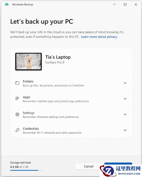 微软发布Win11 Insider Preview Build 23466!