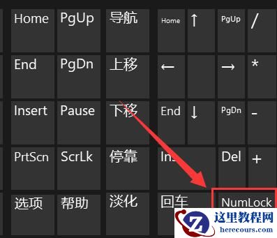 win11电脑键盘打不出字怎么办?win11打不了字的解决方法