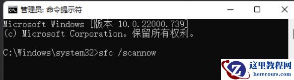 Win11无法打开Windows终端提示内部错误怎么办？