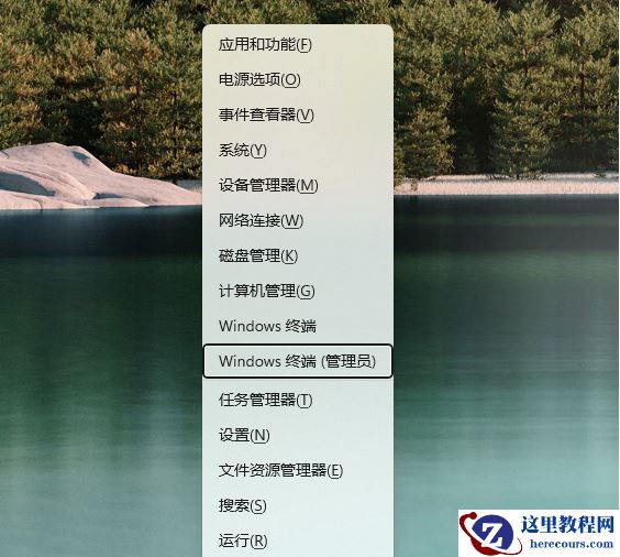 Win11应用商店怎么更新新版？应用商店更新教程