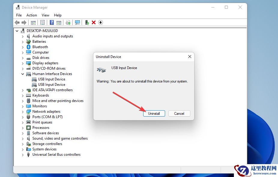 Windows11的触摸屏不工作？这该怎么办？
