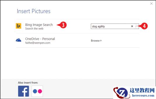 在“ Bing图片搜索”框中键入关键字。