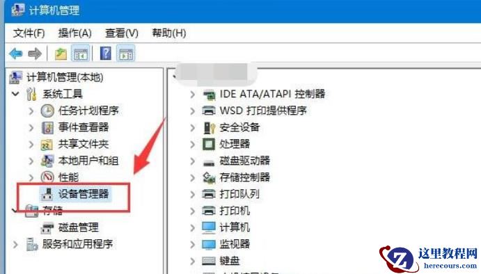 Win11移动硬盘不显示怎么办？Win11移动硬盘不显示问题解析