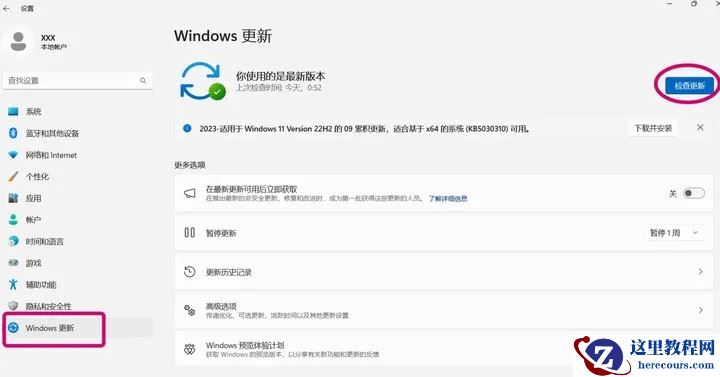 Win11 22H2专业版怎么升级23H2专业版？详细教程 