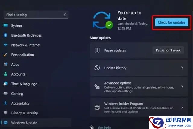 详解Win11系统更新驱动的五种方法