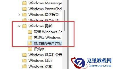 戴尔win11怎么关闭自动更新?戴尔win11关闭自动更新教程