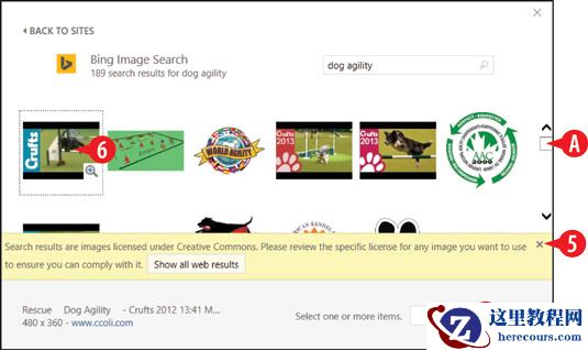 在“ Bing图片搜索”框中键入关键字。