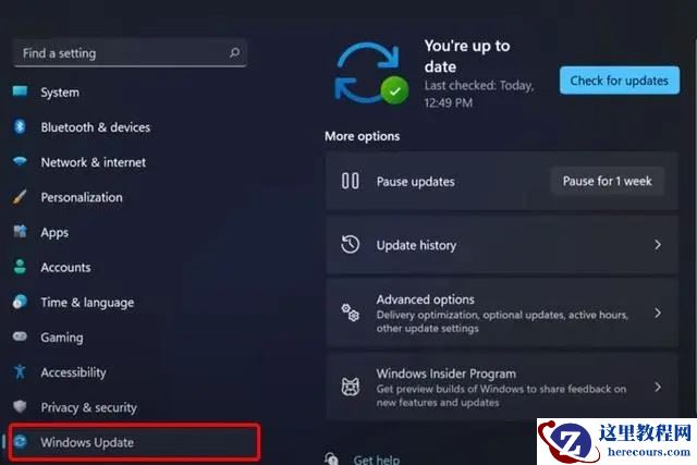 详解Win11系统更新驱动的五种方法