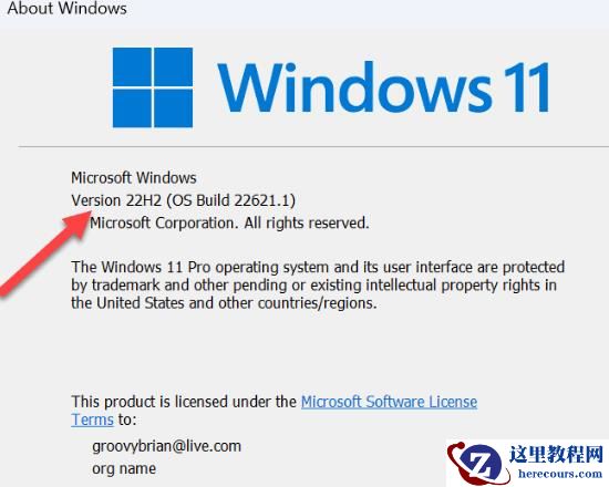 Win11系统如何启用桌面贴纸?Win11系统启用桌面贴纸的步骤
